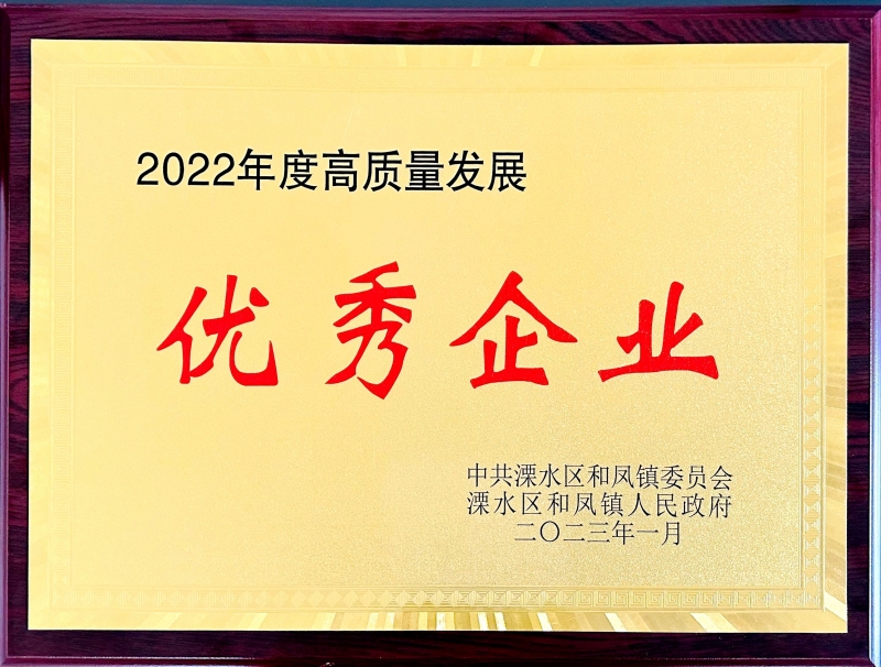 南京思特通榮獲2022年和鳳鎮高質量發展優 秀企業